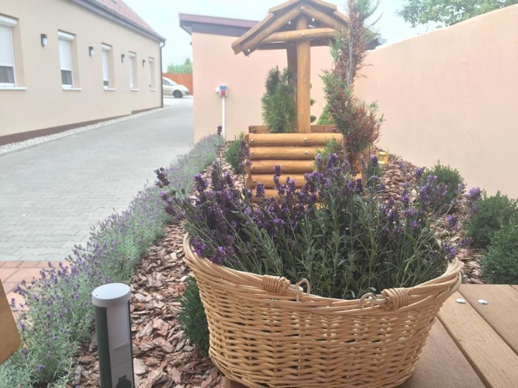 Hotel Levendula Vendeghaz Győr Exterior foto